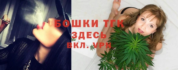 метадон Новодвинск