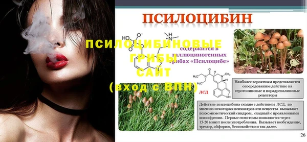 PSILOCYBIN Новозыбков