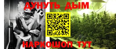 шишки Гатчина
