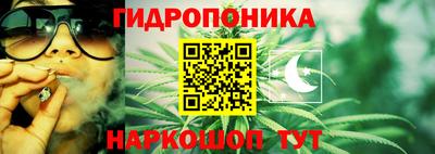 шишки Гатчина