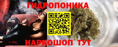 шишки Гатчина