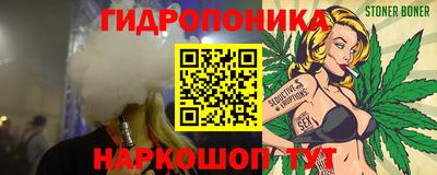 шишки Гатчина