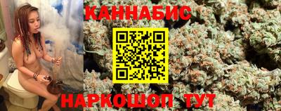 шишки Гатчина