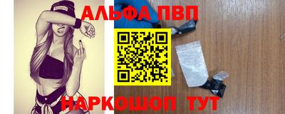 шишки Гатчина