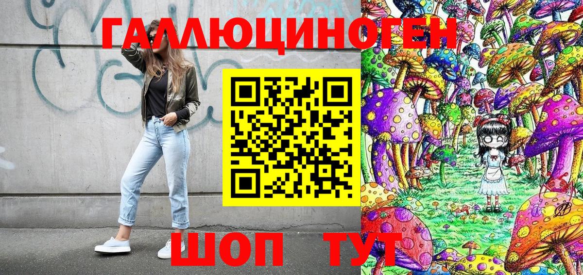 A PVP Алексеевка