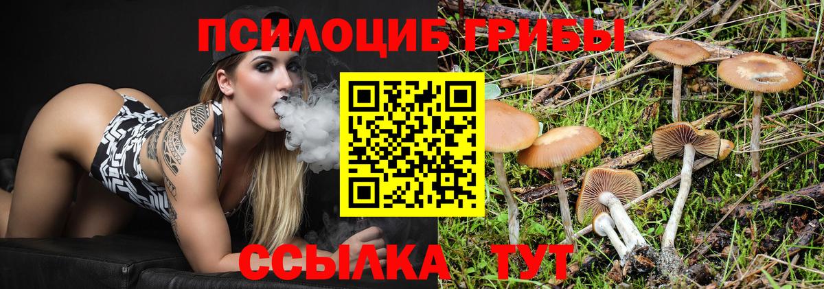 Галлюциногенные грибы MAGIC MUSHROOMS  где найти   Алексеевка  Галлюциногенные грибы Psilocybe  Вход с VPN 
