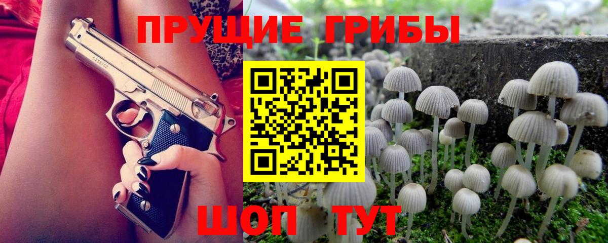 Галлюциногенные грибы ЛСД Алексеевка