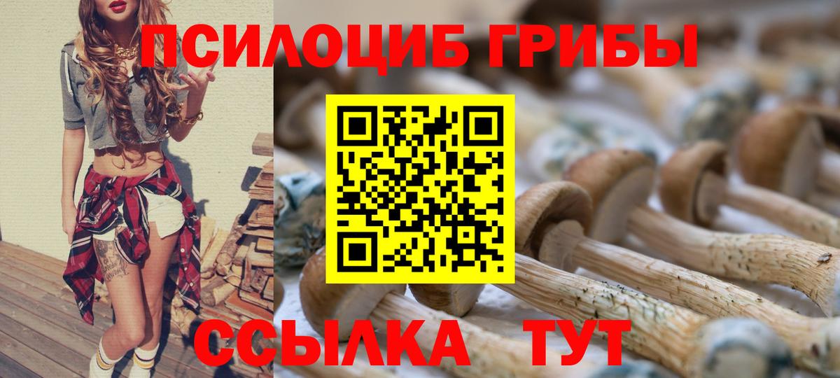 Галлюциногенные грибы Cubensis Алексеевка