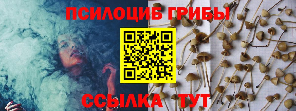 Псилоцибиновые грибы мухоморы  даркнет сайт  Алексеевка  Псилоцибиновые грибы Psilocybine cubensis 